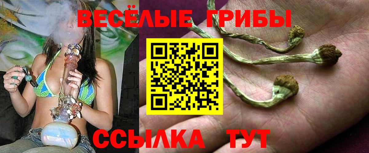 Губаха  Галлюциногенные грибы Psilocybine cubensis  где продают наркотики  Вход с VPN 